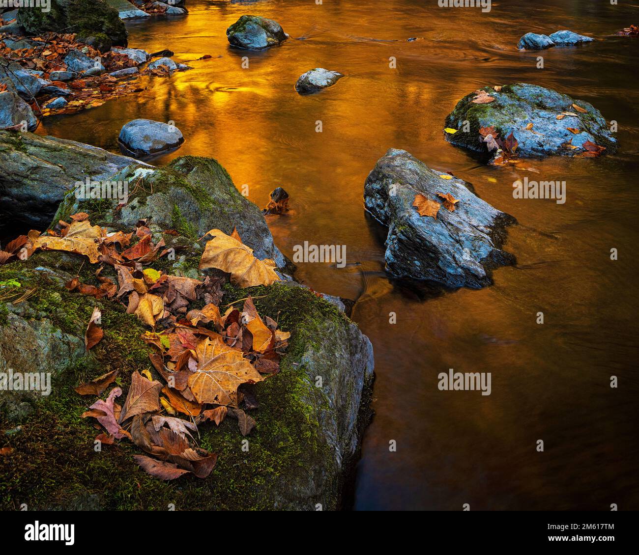 Der Little Pigeon River im Great Smoky Mountain National Park in der Nähe von Townsend, Tennessee, spiegelt die Herbstfarben wider Stockfoto