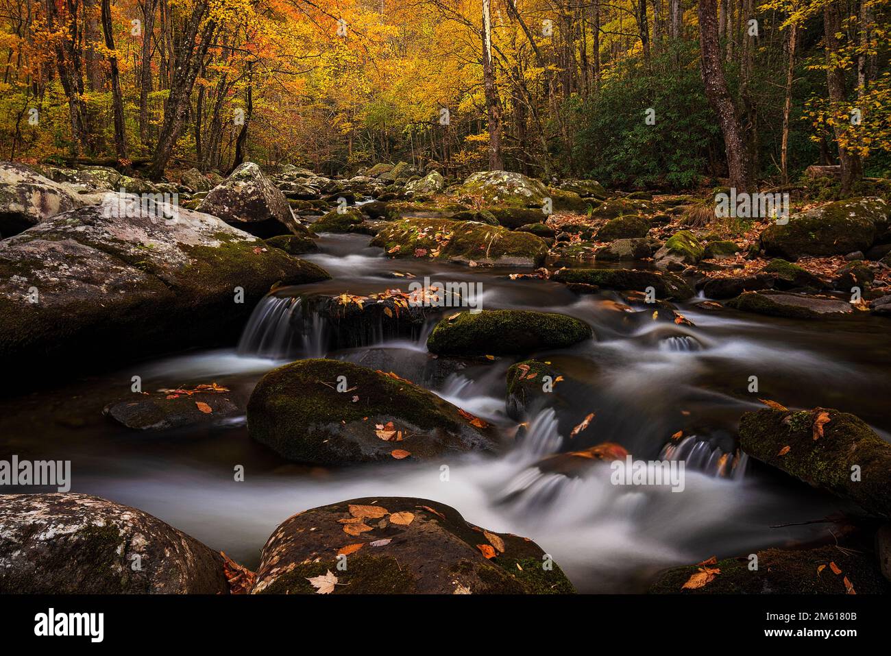 Herbstszene am Fluss im Tremont Section des Great Smoky Mountain National Park in der Nähe von Townsend, Tennessee Stockfoto