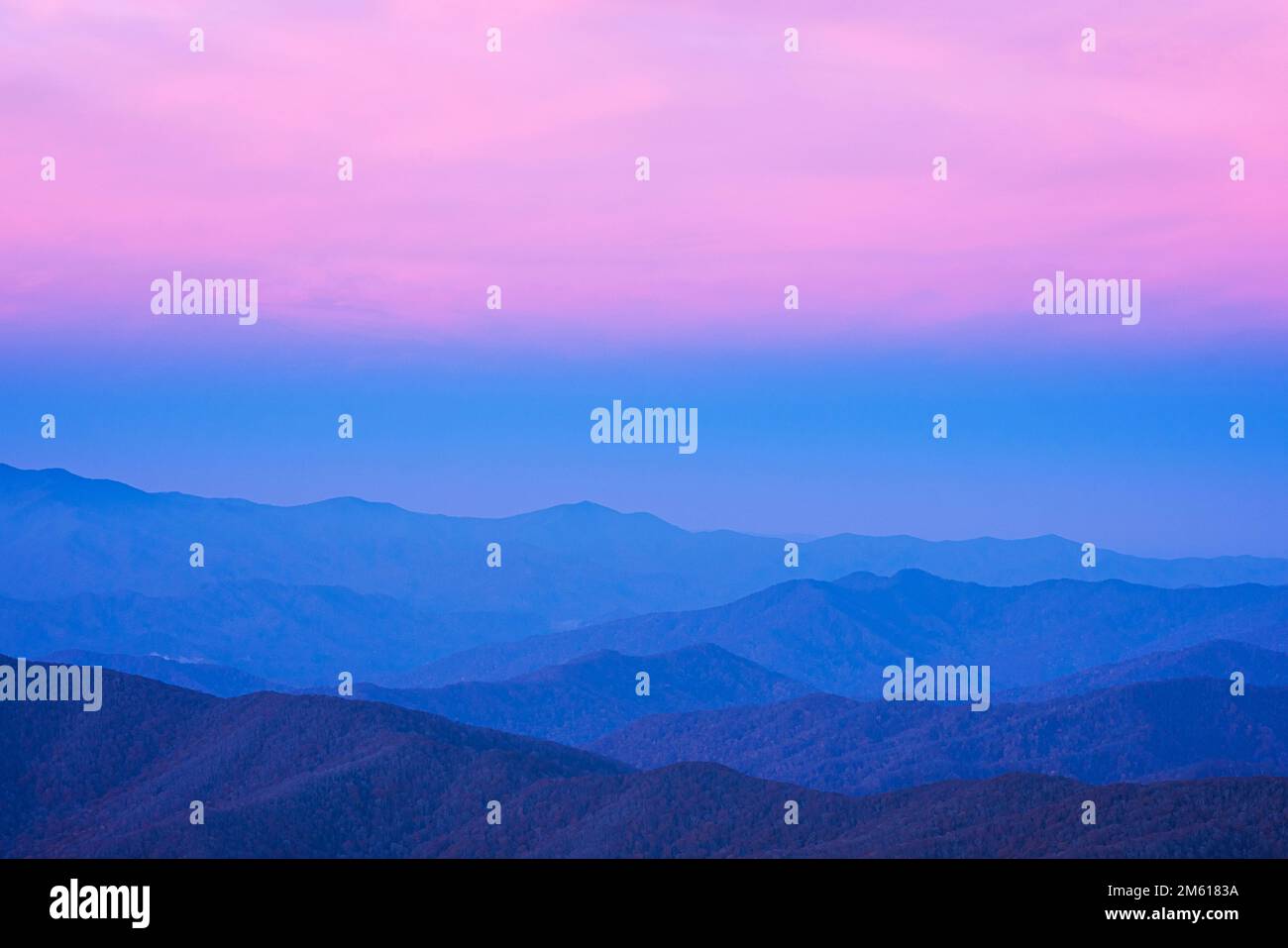 Pastellfarben von. Nebeliger Morgen vom Clingmans Dome im Great Smoky Mountain National Park in Tennessee Stockfoto