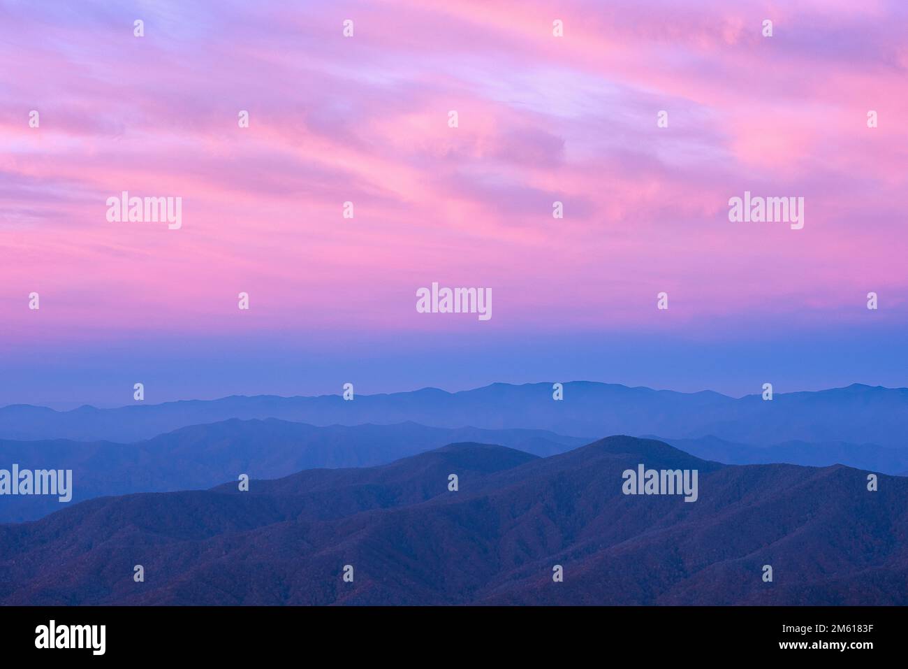 Pastellfarben von. Nebeliger Morgen vom Clingmans Dome im Great Smoky Mountain National Park in Tennessee Stockfoto