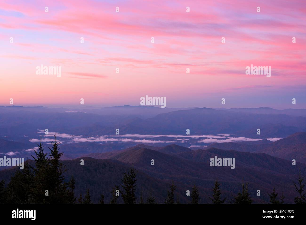 Pastellfarben von. Nebeliger Morgen vom Clingmans Dome im Great Smoky Mountain National Park in Tennessee Stockfoto