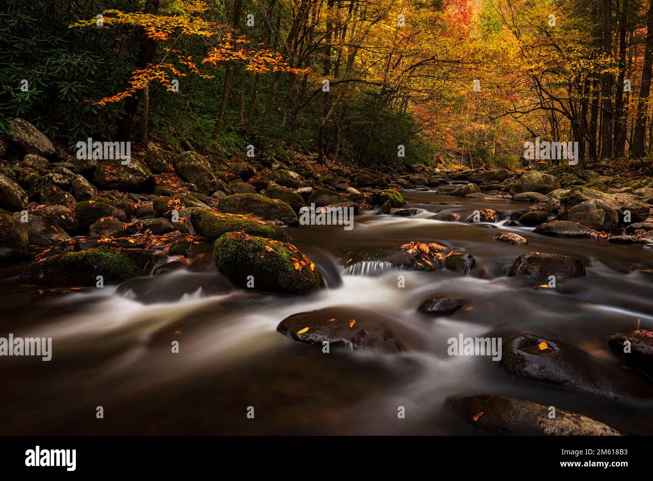 Herbstszene am Fluss im Tremont Section des Great Smoky Mountain National Park in der Nähe von Townsend, Tennessee Stockfoto