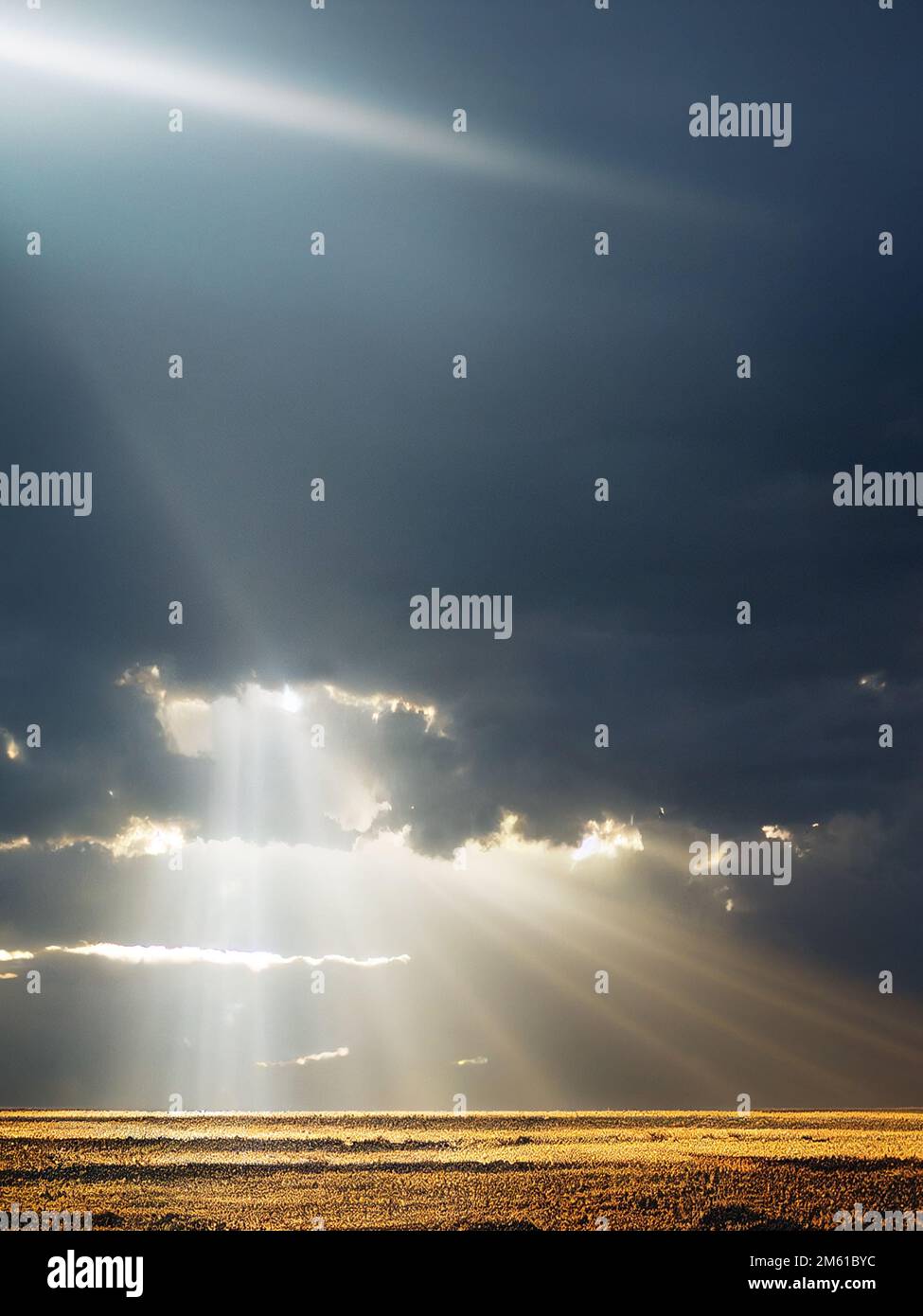 Helles Sonnenlicht am Sandstrand. Stockfoto