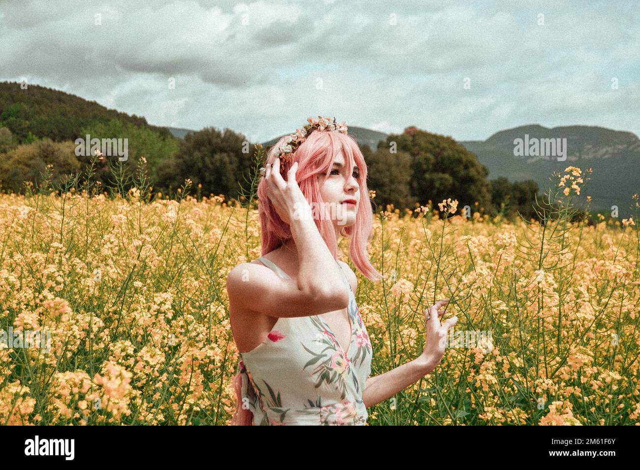 Mädchen in einem langen Sommerkleid, trägt eine rosa Perücke und eine Blumenkrone, Bilder auf einem Blumenfeld, mit klarem Himmel und traumhaftem Filter Stockfoto