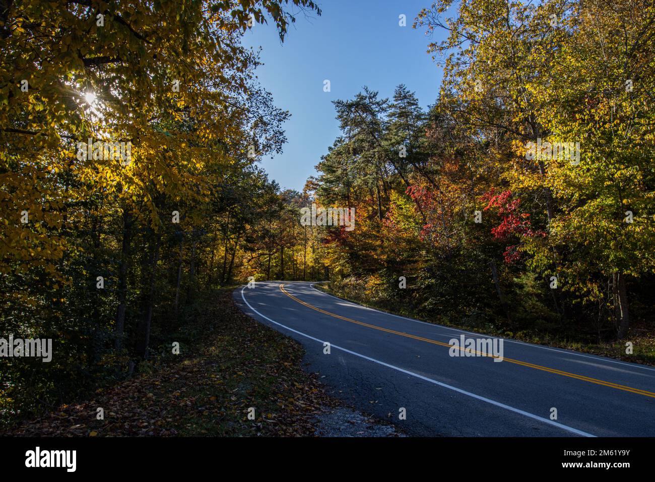 Herbstlaub in den bewaldeten Bergen der zentralen Appalachen. Stockfoto