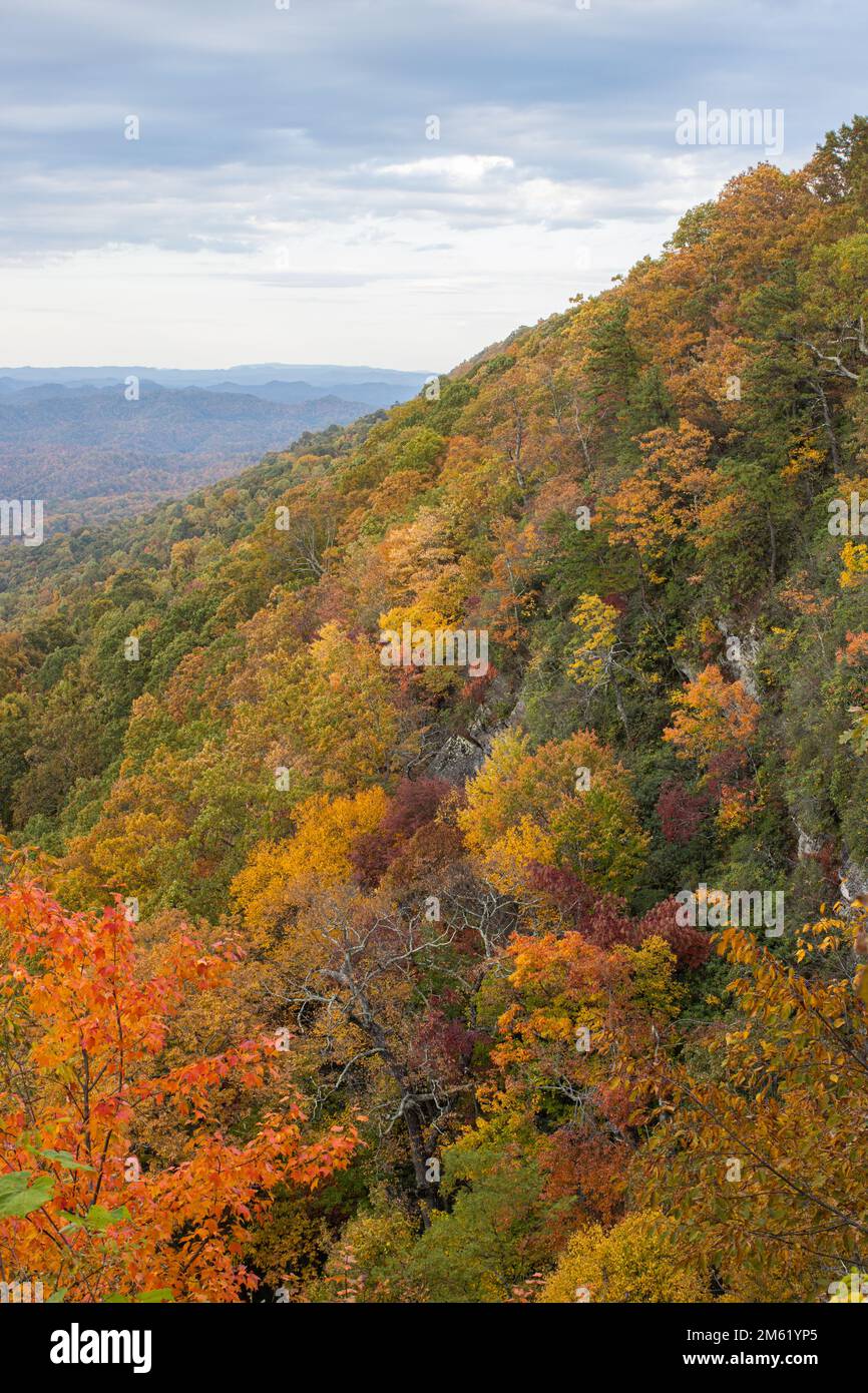 Herbstfarben sind in den bewaldeten Bergen der zentralen Appalachen zu sehen. Stockfoto