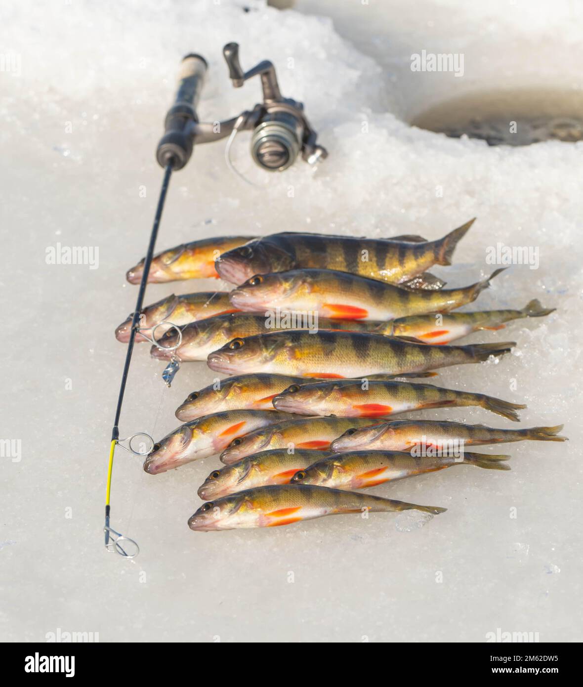 Winterangeln auf Eis, Hobby-Freizeitaktivitäten, Fischen Stockfoto