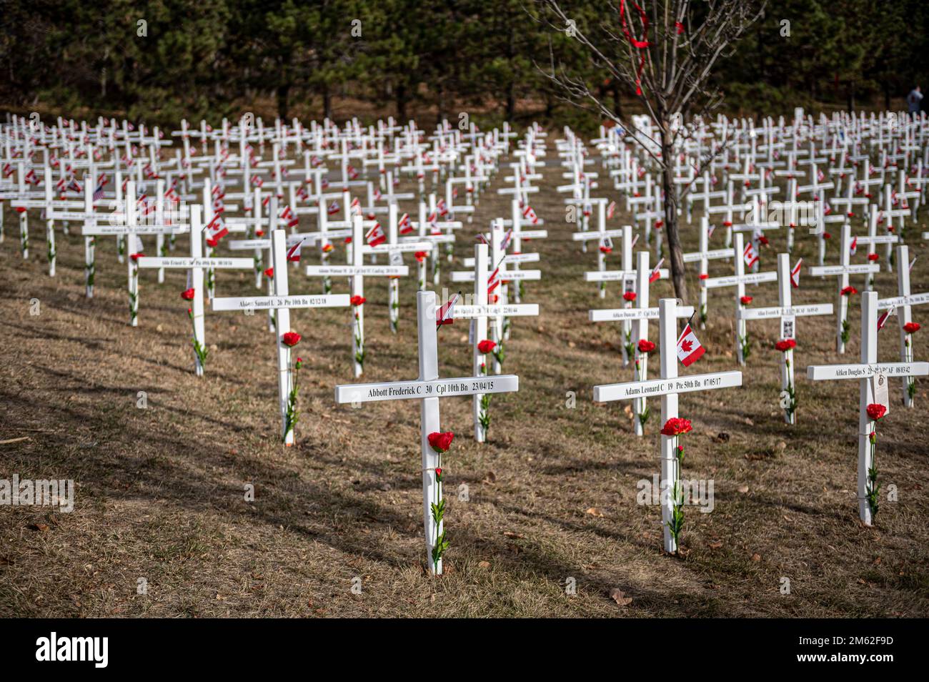 Gedenkkreuze zum Gedenken an die Kriegsgefangenen aus Calgary, Calgary, Memorial Drive, Alberta, Kanada Stockfoto