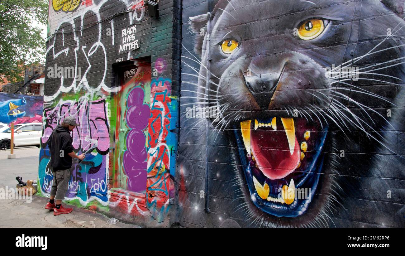 Ein Mann, der Graffiti auf eine Stadtmauer in Toronto, Ontario, Kanada, spritzt Stockfoto