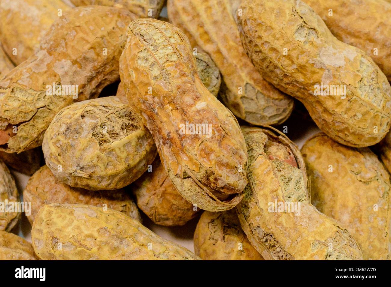 Makroschuss gesalzener und gerösteter Erdnüsse Stockfoto