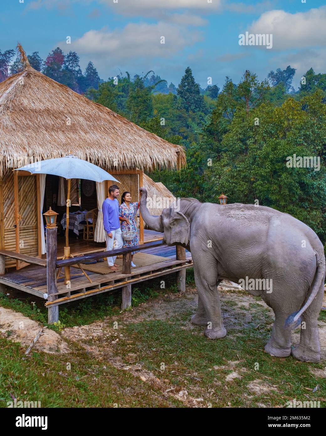 Ein Paar besucht ein Elefantenschutzgebiet zur Elefantenfütterung in Chiang Mai Thailand, einer Elefantenfarm im Bergdschungel von Chiang Mai Thailand. Elephant Sanctuary Chiang Mai Nord-Thailand, Stockfoto