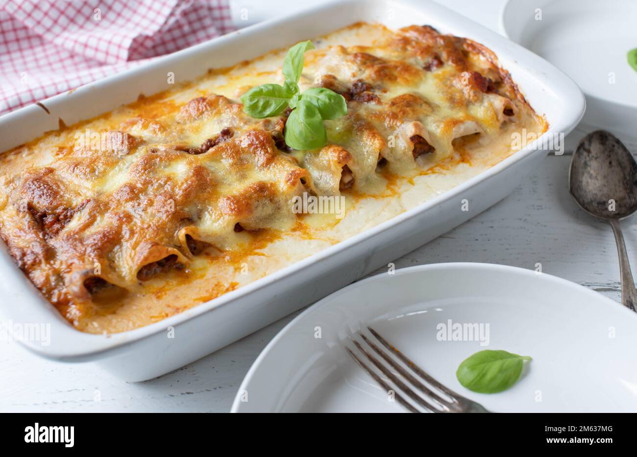 Nudelauflauf mit Cannelloni-Nudeln, Bolognese-Sauce, Béchamel-Sauce und ...