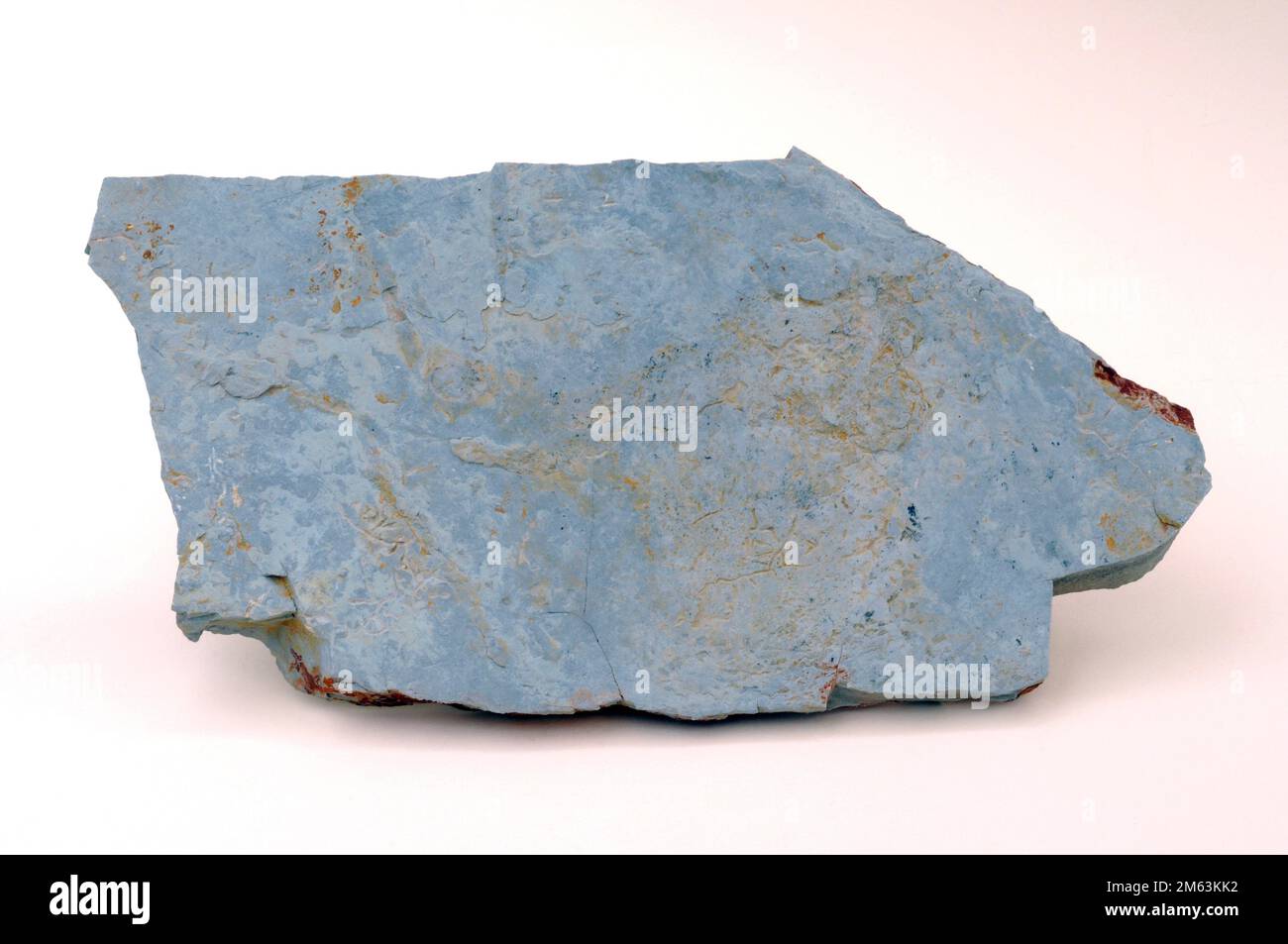 Kalkstein ist ein Karbonat-Sedimentgestein. Probe. Stockfoto