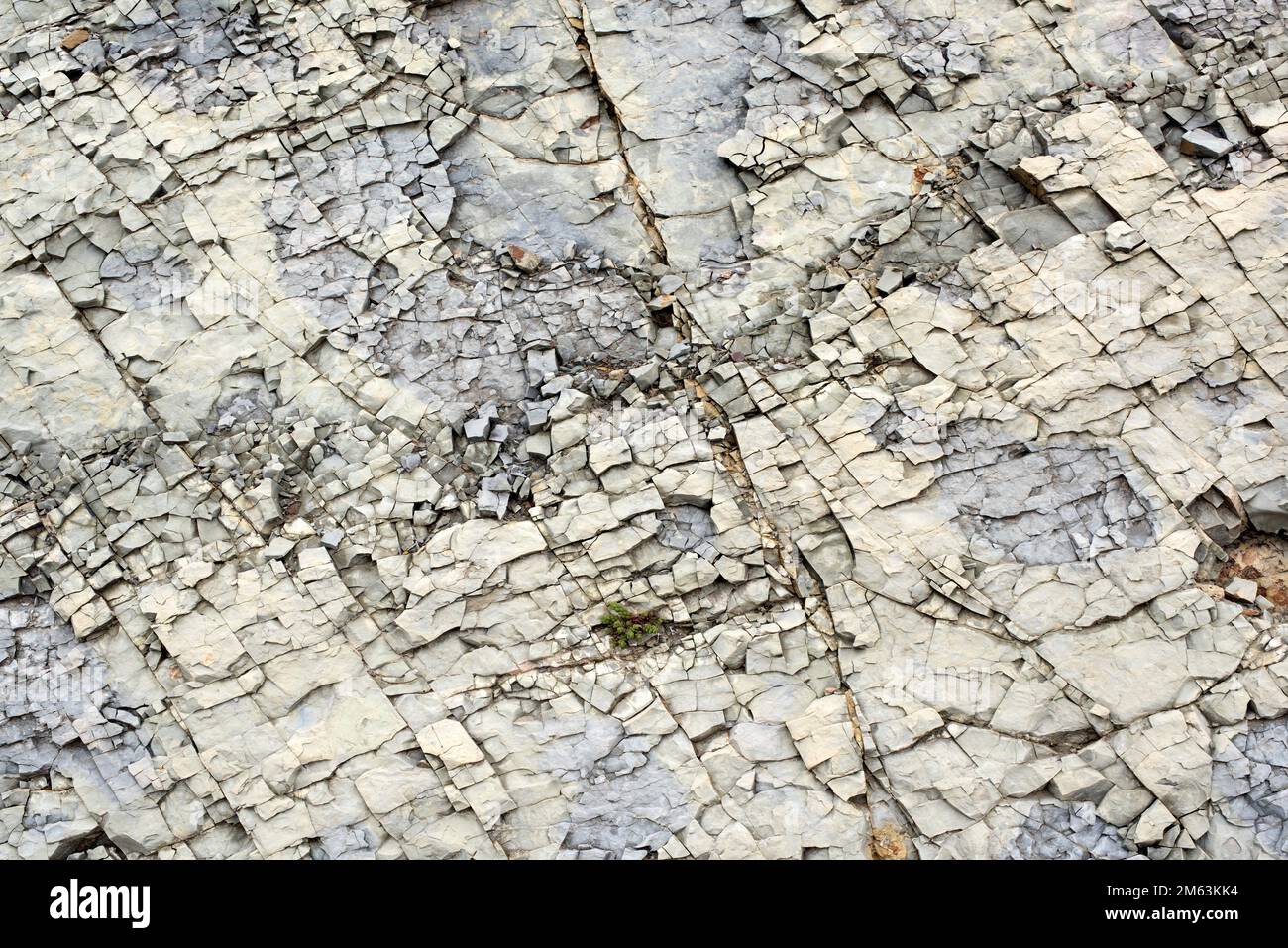Kalkstein (Karbonat-Sedimentgestein) mit polygonaler Struktur. Dieses Foto wurde in Riba de Santiuste, Guadalajara, Castilla-La Mancha, Spanien, aufgenommen. Stockfoto
