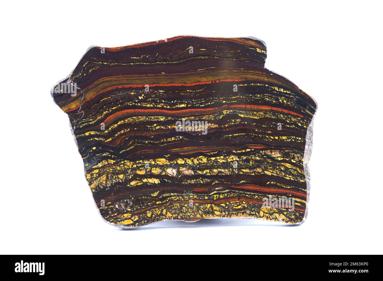 Bänder Iron Formation (BIF) ist ein Sedimentgestein, das aus dünnen Schichten von Eisenoxiden gebildet wird. Diese polierte Probe stammt aus Australien. Stockfoto
