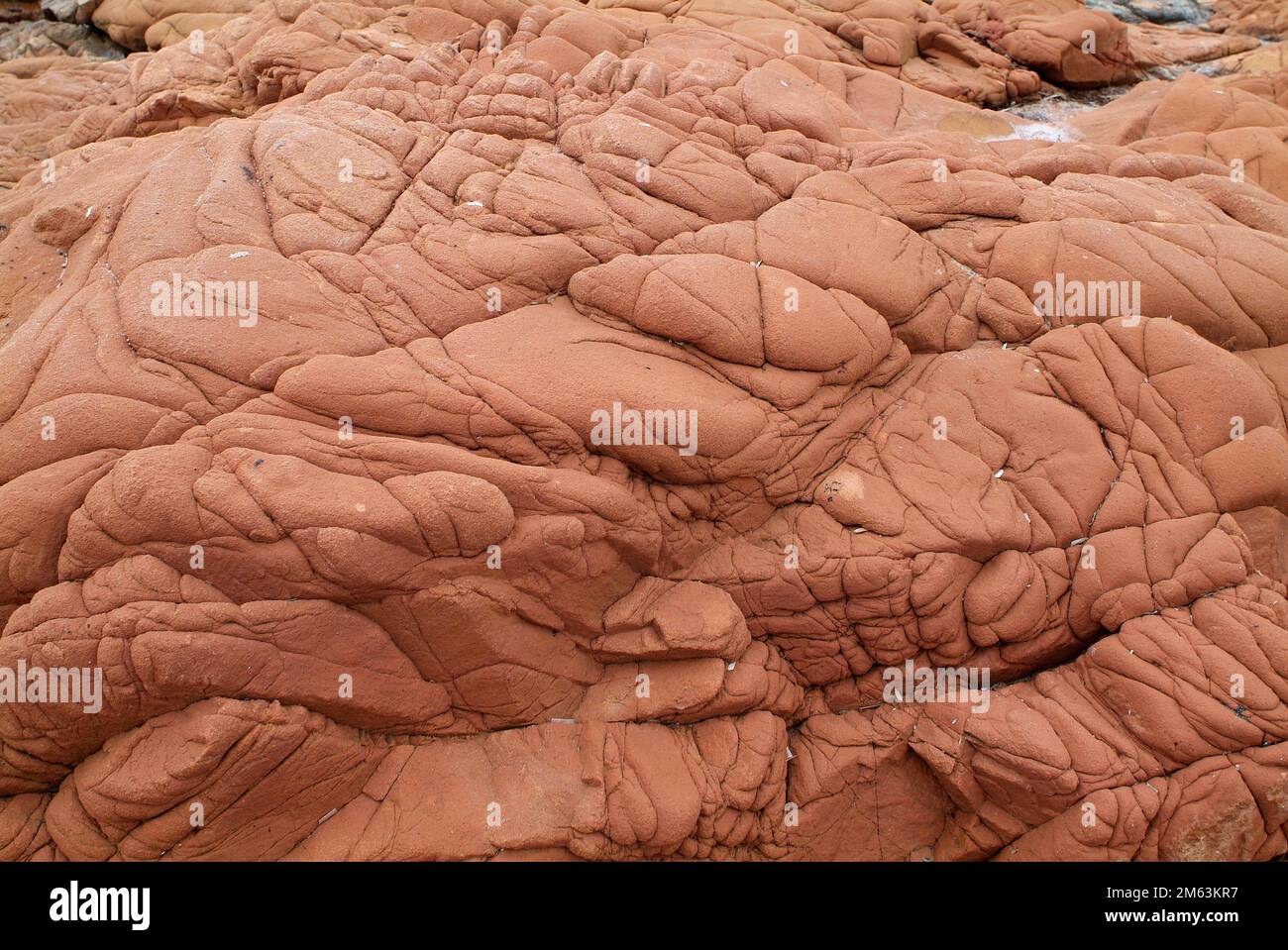 Roter Granit. Granit ist ein aufdringlicher, magischer Stein. Dieses Foto wurde an der Küste Korsikas in Frankreich aufgenommen. Stockfoto