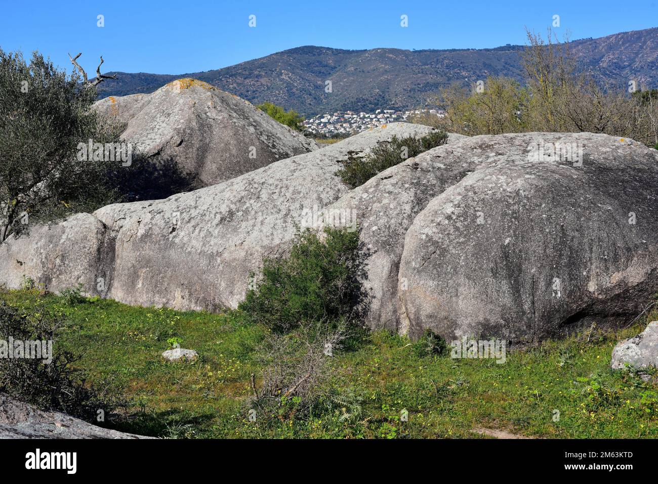 Granodiorit ist ein magmatischer, aufdringlicher Stein, der Granit ähnlich ist, aber mehr Plagioclase enthält. Dieses Foto wurde in Vilaut, Girona, Katalonien, Spanien, aufgenommen. Stockfoto