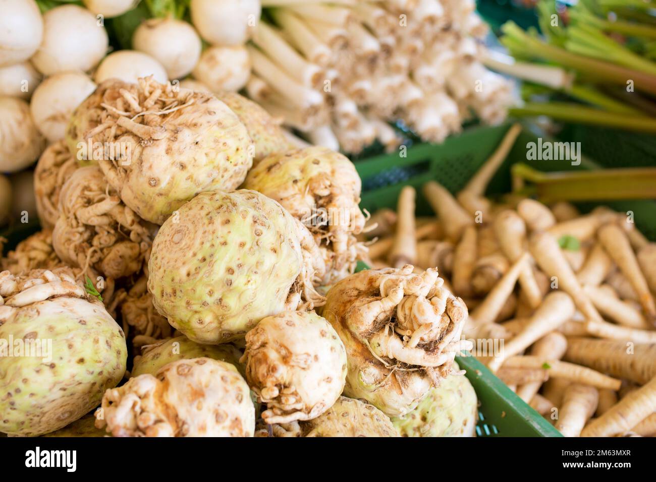 Sellerie, Pastinaken, Lauch, Zwiebeln und anderes Gemüse zum Verkauf auf einem lokalen markt mit regionalen Speisen in Deutschland - Schwerpunkt auf Sellerie Stockfoto