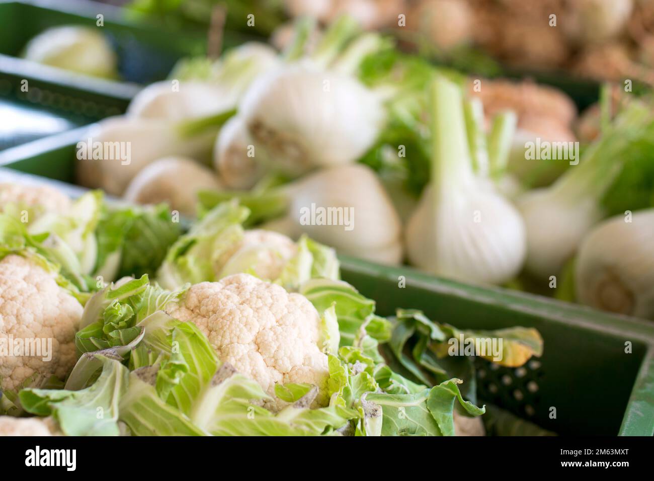 Frischer Blumenkohl auf einem lokalen Markt mit regionalen Bio-Lebensmitteln in Deutschland Stockfoto