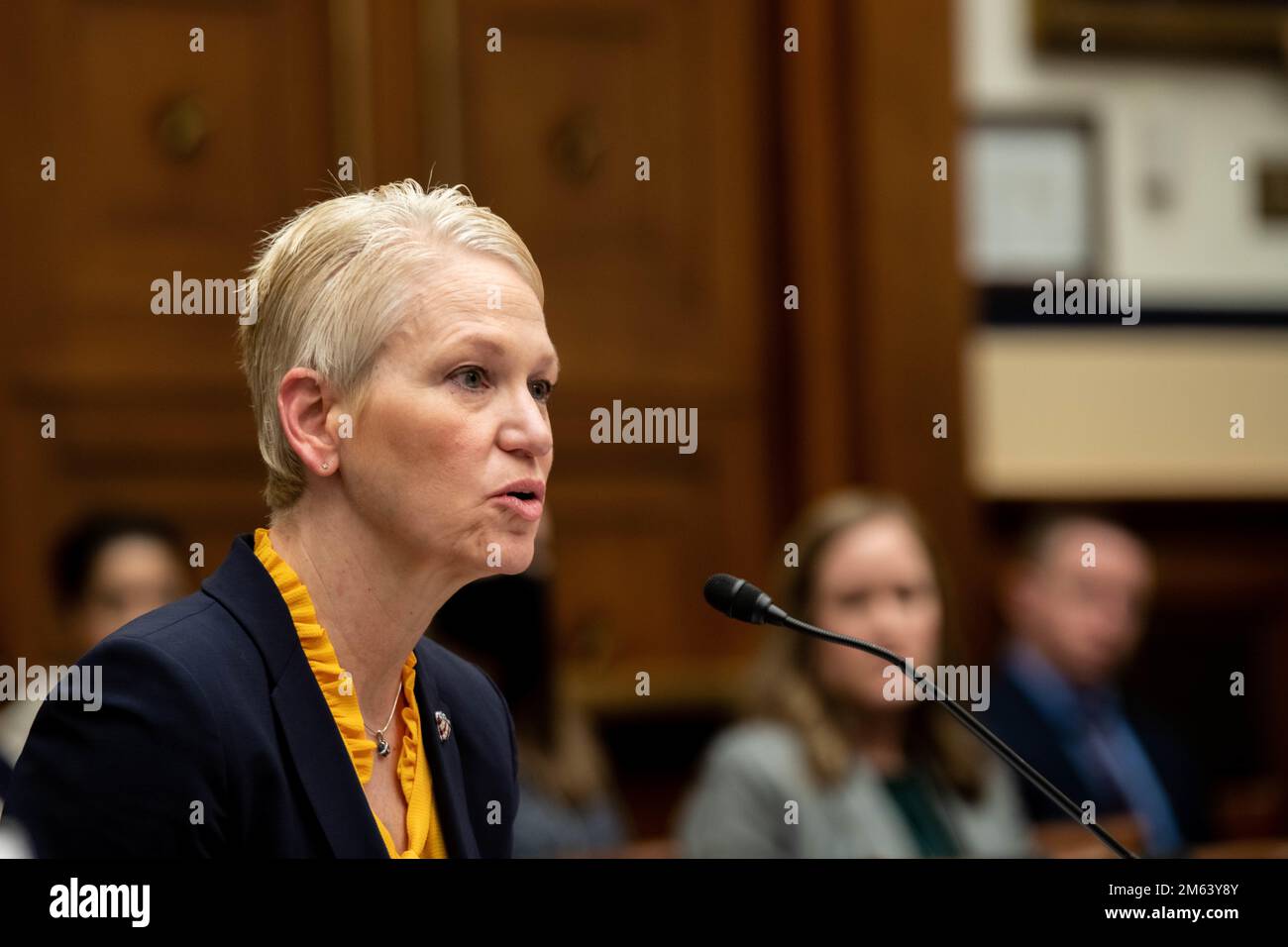 Dr. Celeste Wallander, Assistant Secretary of Defense for International Security Affairs, spricht bei einer Anhörung des House Armed Services Committee zu Herausforderungen der nationalen Sicherheit und militärischen Aktivitäten der USA in Europa, 2118 Rayburn House Office Building, Washington, D.C. Stockfoto