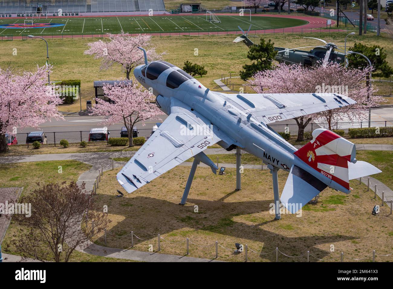 220330-N-VI040-1056 MARINELUFTANLAGE ATSUGI, Japan (30. März 2022) ein EA-6B Prowler-Modell ist dauerhaft an Bord der Marineluftanlage Atsugi zu sehen, während die Sakura (Kirschblüten) während der gesamten Anlage blühen. Die NAF Atsugi unterstützt die Kampfbereitschaft des Befehlshabers, der Fluggesellschaft Air Wing FIVE (CVW 5), der Hubschrauberstaffel FIVE ONE (HSM-51) und von 30 weiteren Mietern und leistet logistische Unterstützung, Koordination und Dienste für Einheiten, die dem westlichen Pazifik zugewiesen sind. Stockfoto