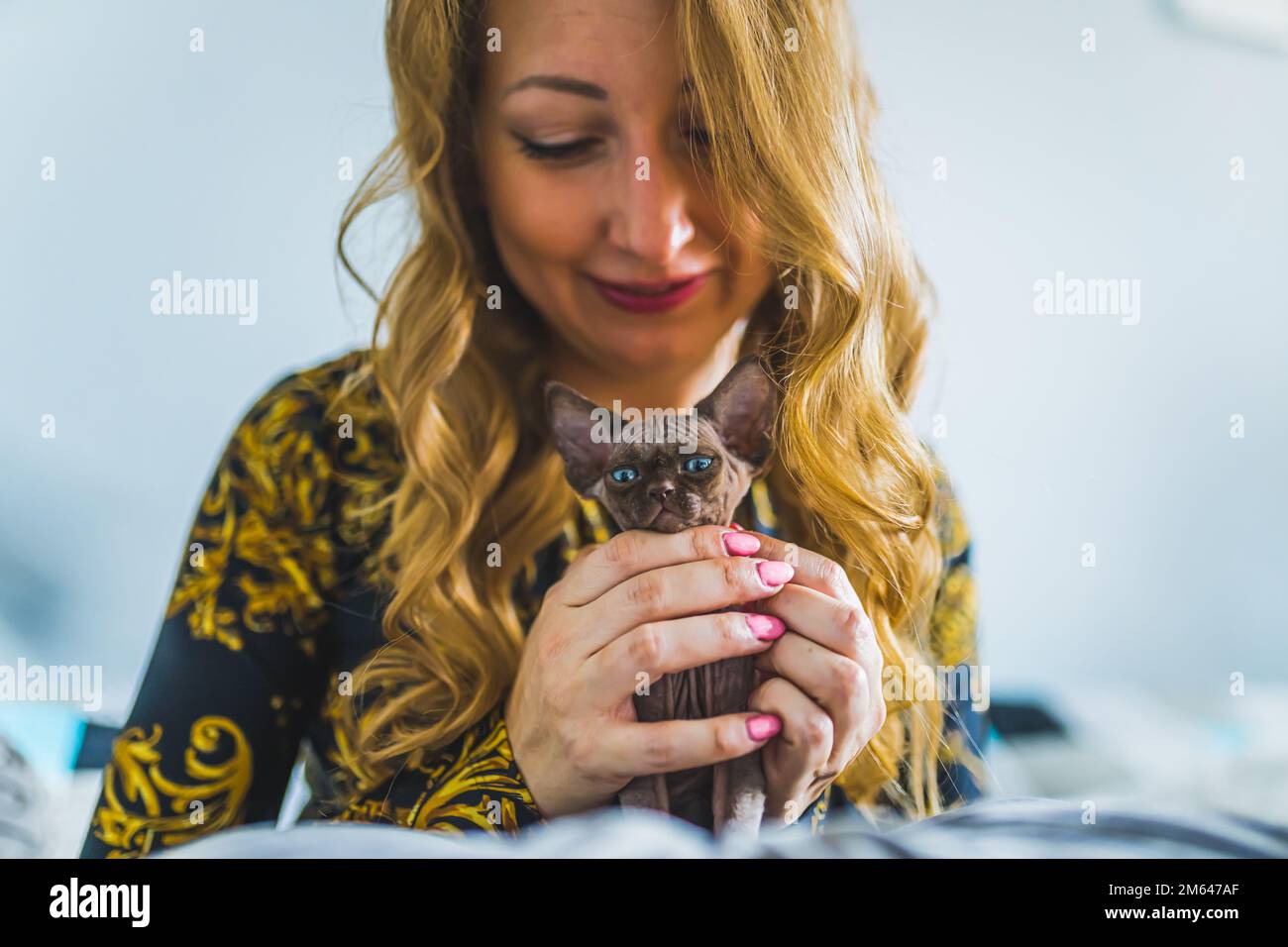 Frau umarmt Devon Rex Kätzchen mit beiden Händen. Hochwertiges Foto Stockfoto