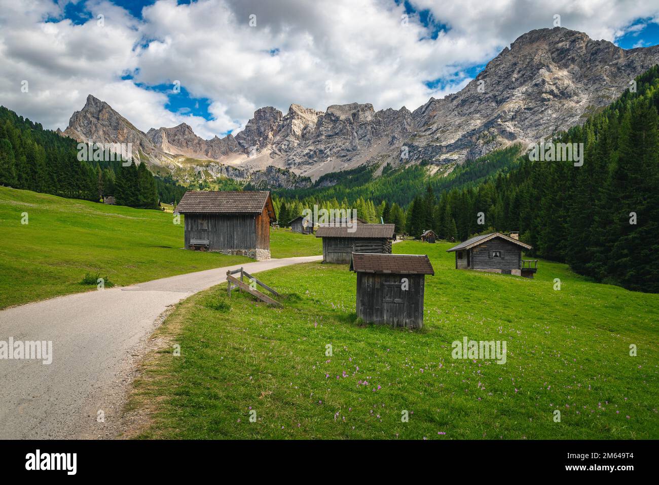 Alpine San Nicolo Tal mit Holzhütten auf den malerischen blumigen grünen Feldern und hohen Bergen im Hintergrund, Dolomiten, Italien, Europa Stockfoto