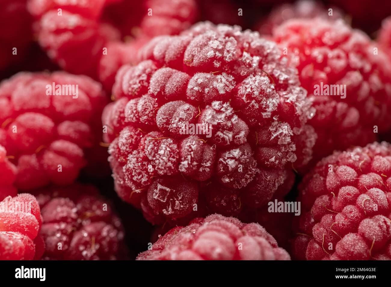 Gefrorene Himbeeren, bedeckt mit Heiserfrost. Nahaufnahme. Stockfoto