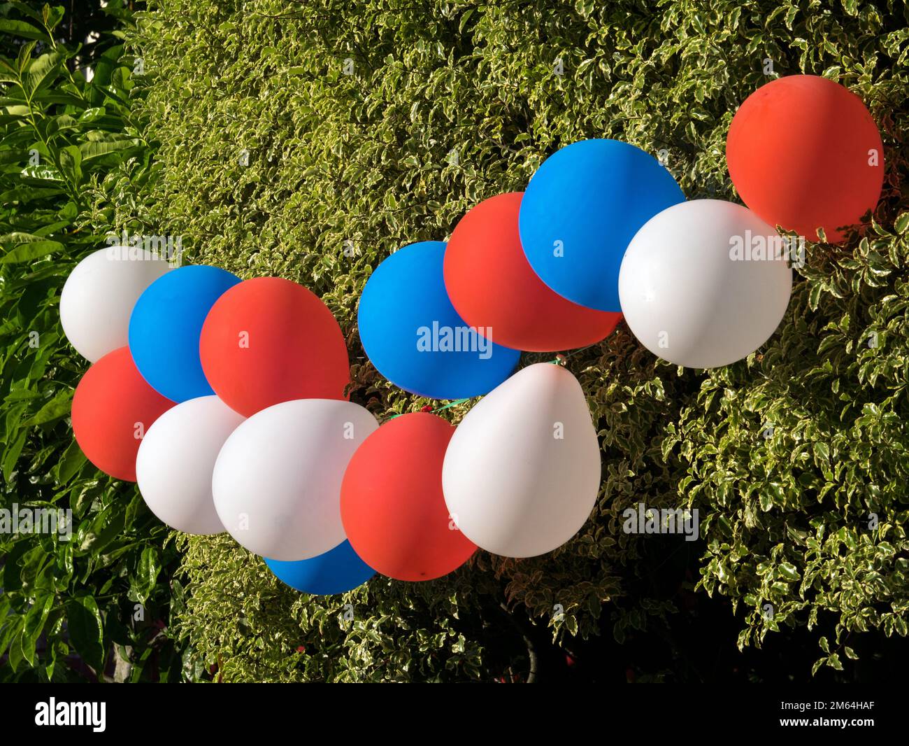 Rot-weiße und blaue Ballons, die draußen zur Feier des königlichen Ereignisses des Platinum Jubiläums der HM Queen Elizabeth II. Ausgestellt werden Stockfoto