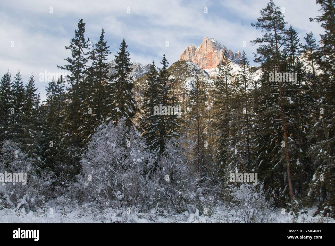 Sehr schöner Misurina See und Sexten Dolomiten oder Dolomiti di Sesto, Südtirol Region der Alpen während der Wintersaison mit Schnee Stockfoto