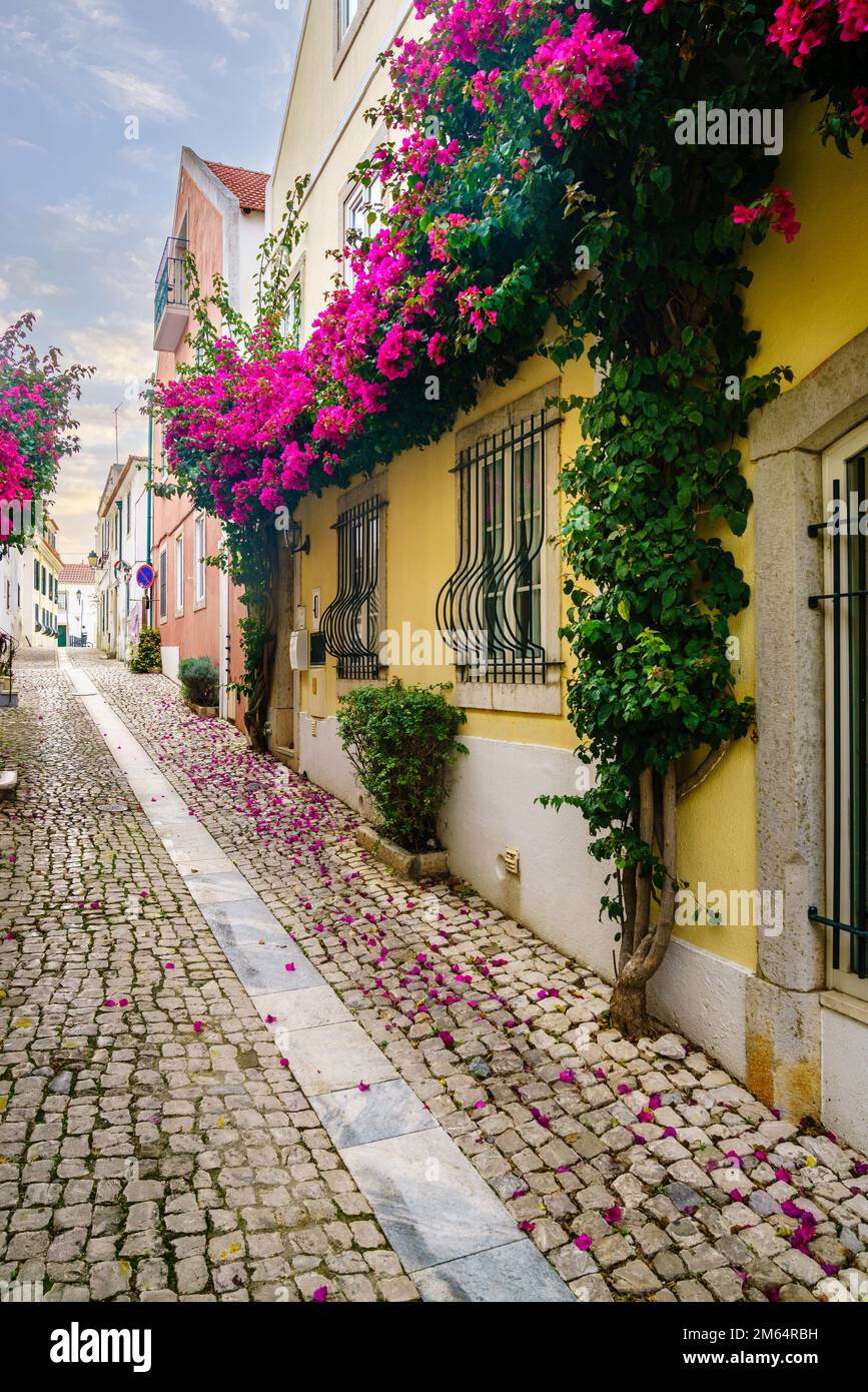 Fußgängerzone mit Kopfsteinpflaster in Cascais, Portugal Stockfoto