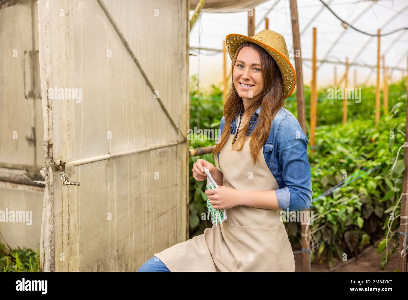 Ein fröhlicher Agronom steht am Eingang zu einem Treibhaus Stockfoto