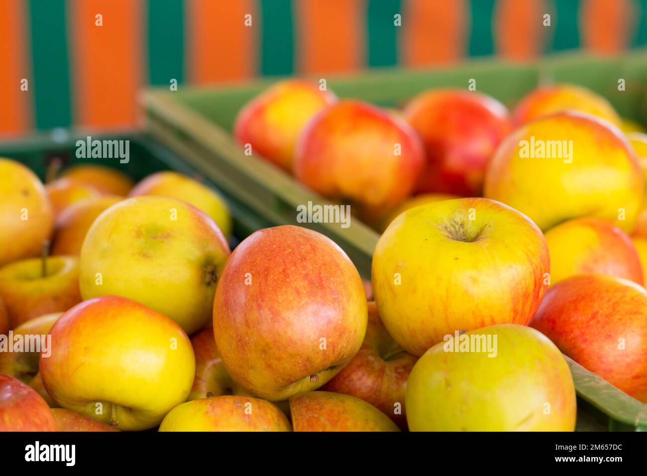 Frische Äpfel zum Verkauf auf einem lokalen Markt mit regionalen Bio-Lebensmitteln in Deutschland Stockfoto