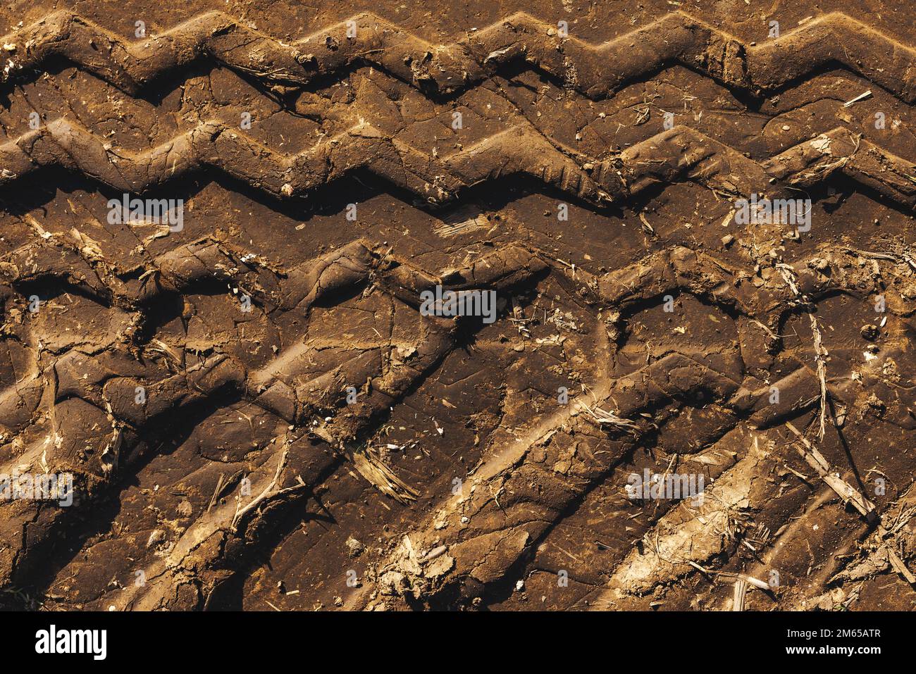Reifenspuren für landwirtschaftliche Traktoren auf unbefestigtem Straßenboden, Draufsicht Stockfoto