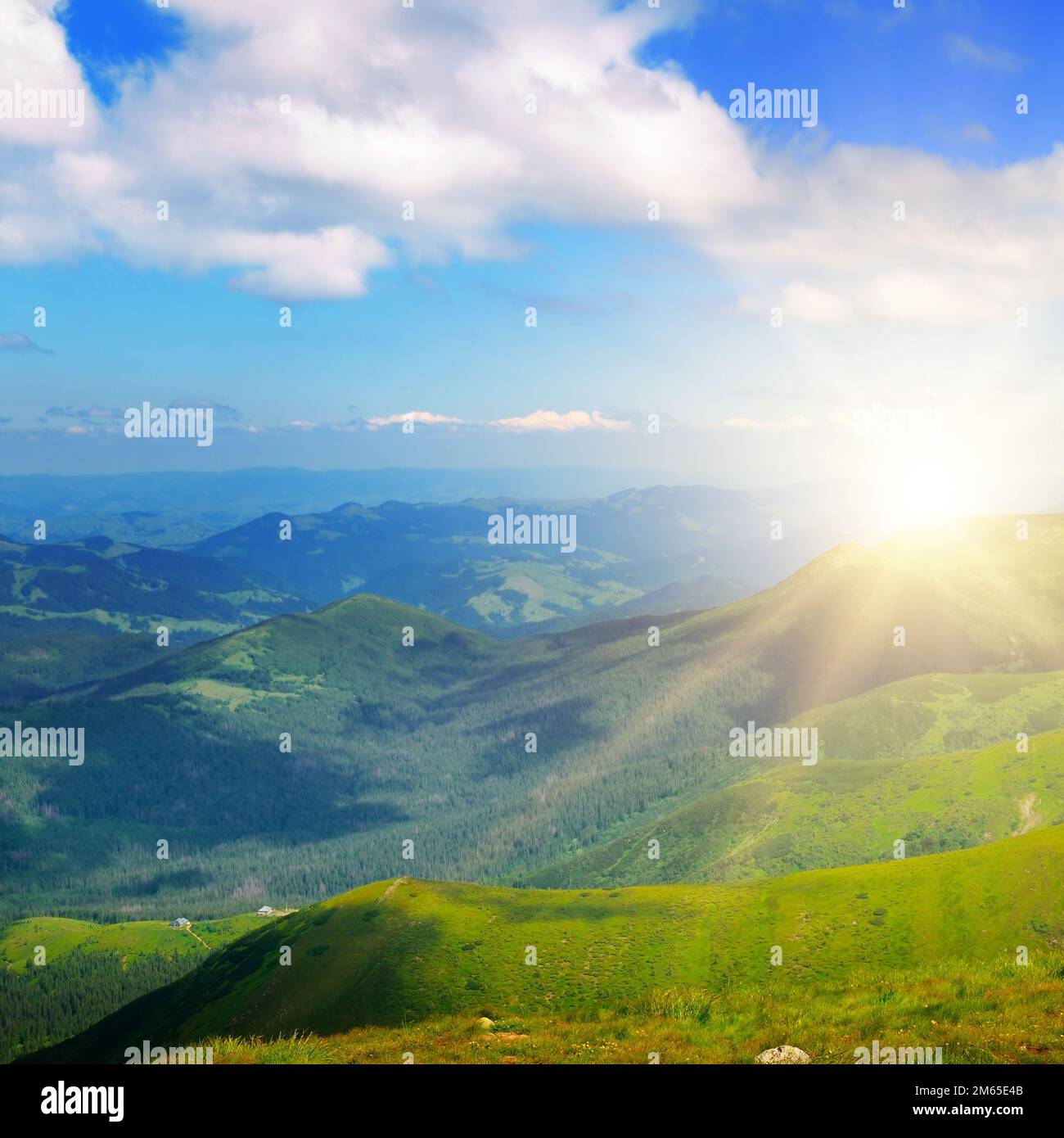Die pulsierende Berglandschaft mit Berggipfeln, Wäldern und Sonnenuntergang. Karpaten. Ukraine. Stockfoto