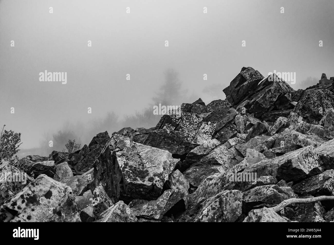 Appalachen im Fog, Shenandoah-Nationalpark, Virginia, USA, Virginia Stockfoto
