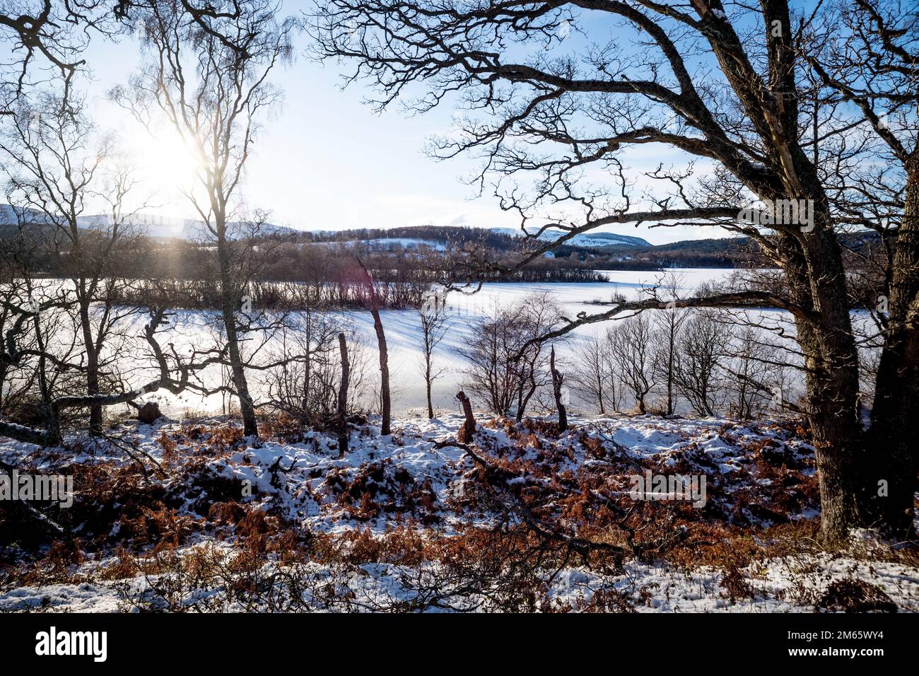 Loch Kinord am Muir of Dinnet National Nature Reserve Aberdeeshire Scotland Stockfoto