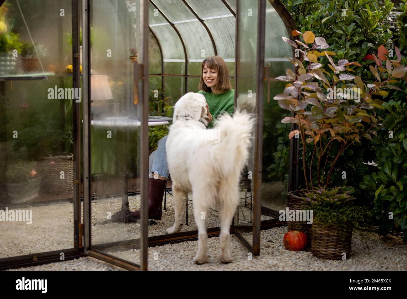 Frau spielt mit ihrem Hund im Garten Stockfoto