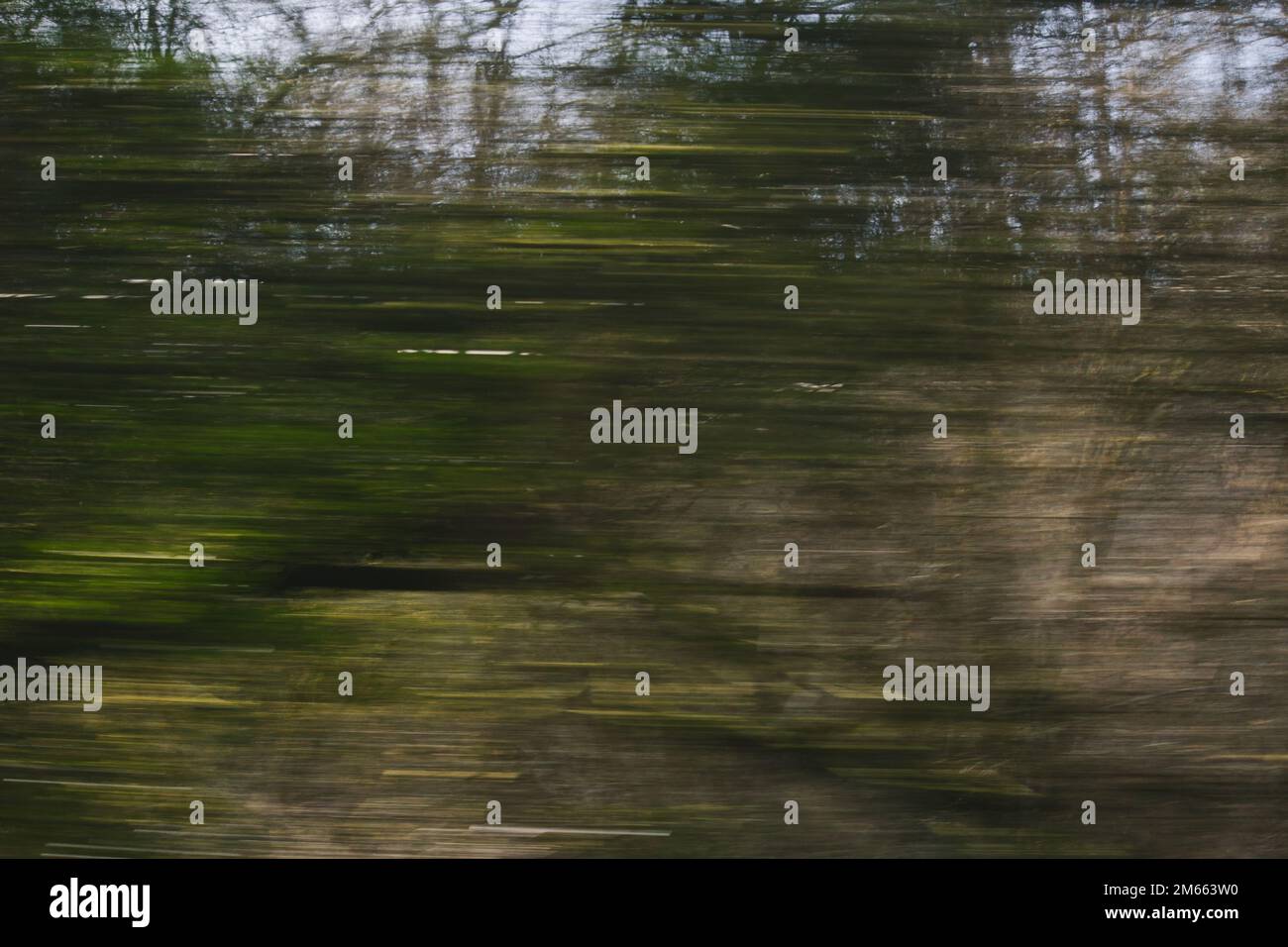 Bewegungsunschärfe von Bäumen aus einem fahrenden Fahrzeug auf einer Straße, die durch einen Wald auf dem Land verläuft Stockfoto