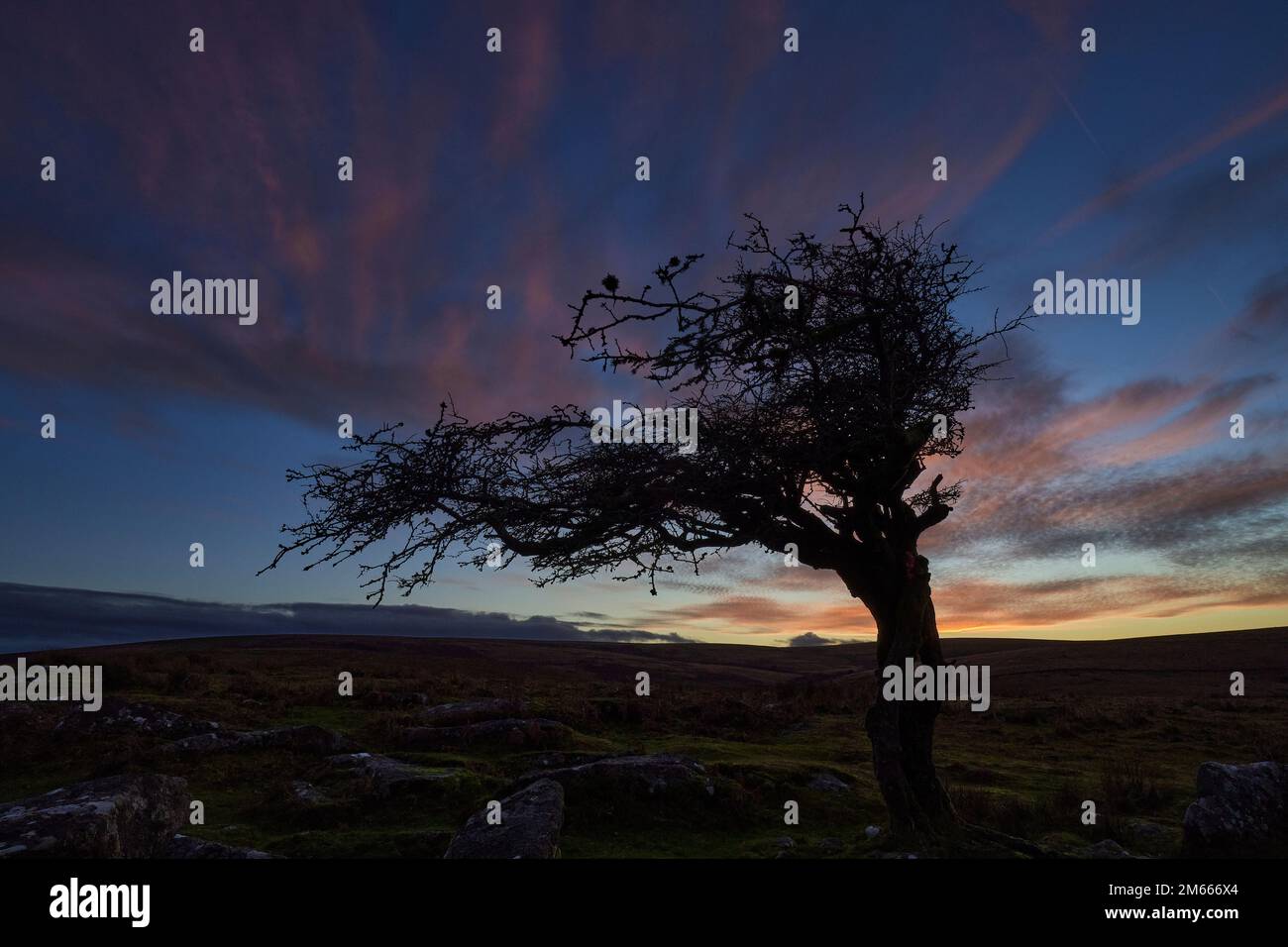 Dartmoor, Devon, Großbritannien. 02. Januar 2023 Sonnenuntergang über Combestone Tor, Dartmoor Nationalpark, Devon. Kredit: Will Tudor/Alamy Live News Stockfoto