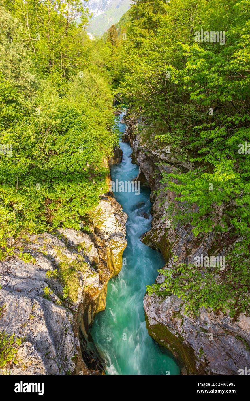 Große Soca-Schlucht (Velika korita Soce), Triglavski-Nationalpark, Slowenien Stockfoto