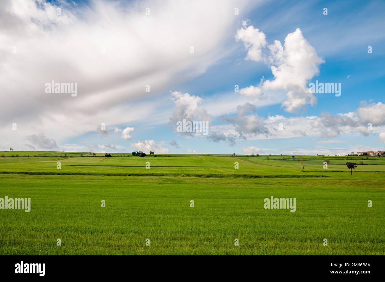 Landschaft, Grünfeld, Wolken und blauer Himmel, gesund, Montgai, Katalonien, Spanien Stockfoto