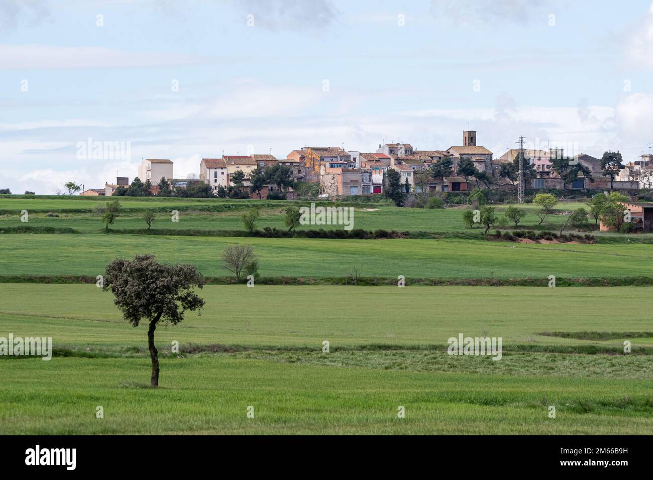 Skyline einer Kleinstadt, Montgai, Lleida, Katalonien, Spanien Stockfoto