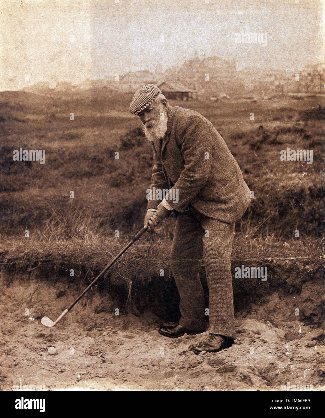 Der alte Tom Morris im Bunker Stockfoto