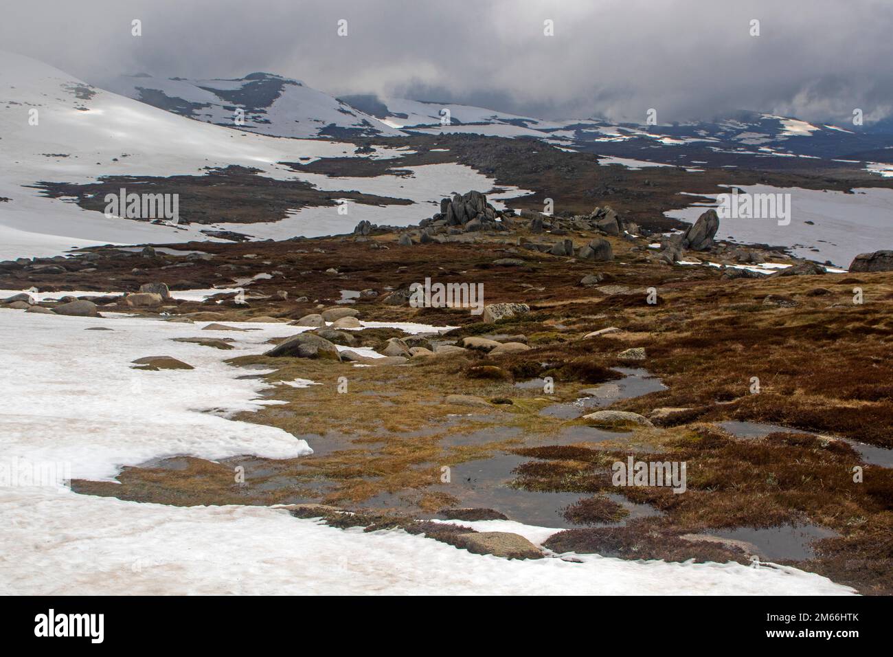 Schmelzende Schneeflächen in den Snowy Mountains Stockfoto