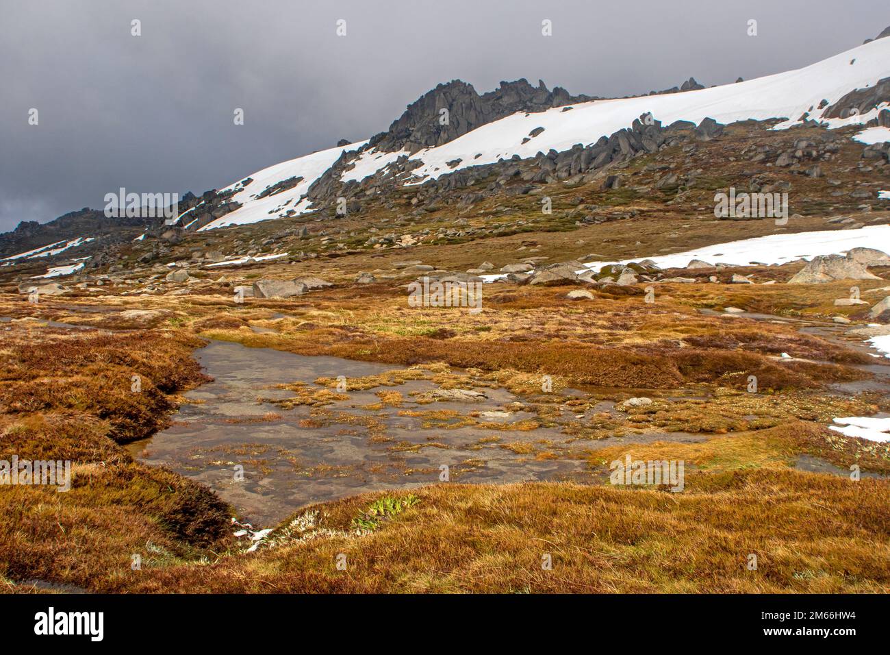 Die Ramshead Range erhebt sich über einem tarn in den Snowy Mountains Stockfoto
