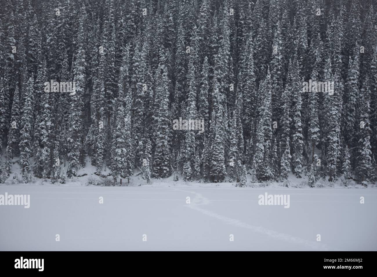 Eine gedämpfte Winterszene im Lake Louise, Banff National Park. Alberta, Kanada. Stockfoto