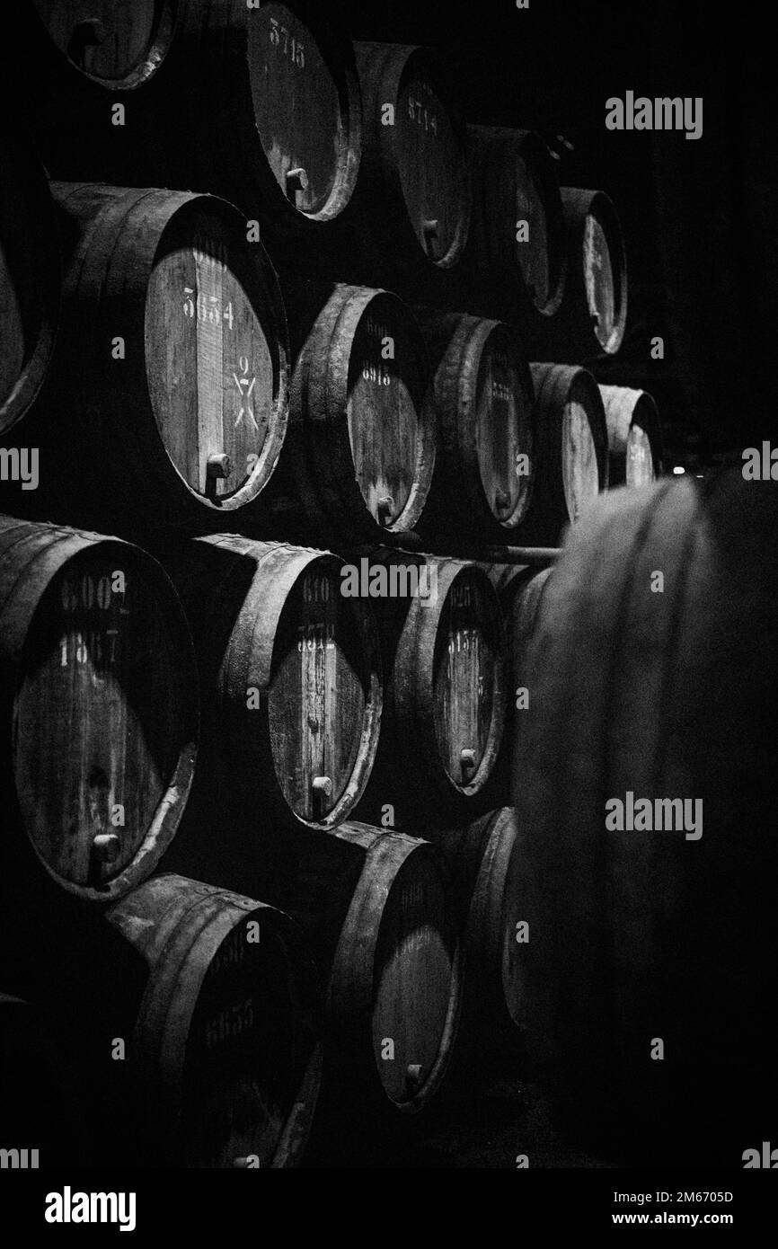 Portwein-Fässer im Weinhaus Taylor in Vila Nova de Gaia in der Nähe von Porto, Portugal. Stockfoto