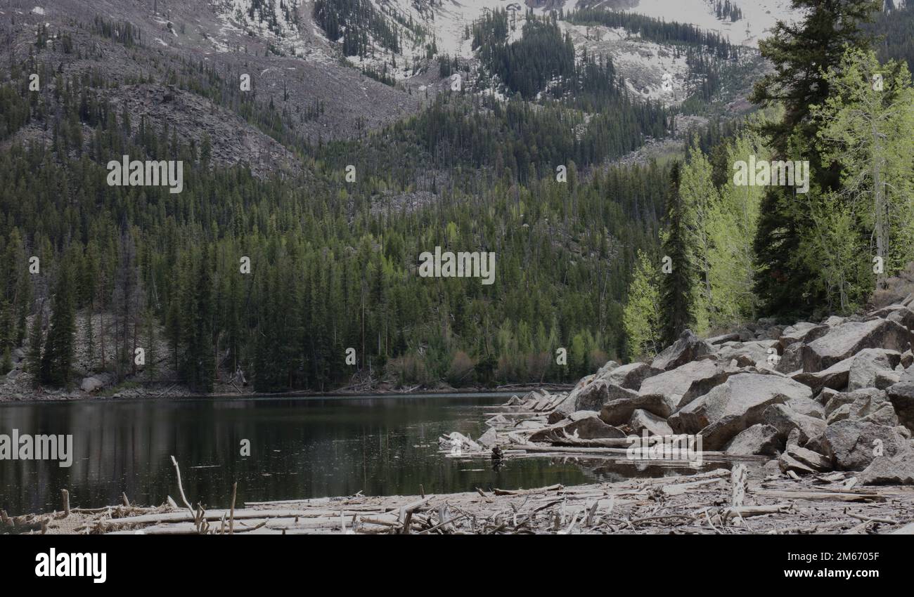 Weller Lake, umgeben von schneebedeckten Bergen, Pinien- und Aspenwäldern, großen Felsen und einer Baummarmelade, im White River National Forest, Aspen, Co Stockfoto