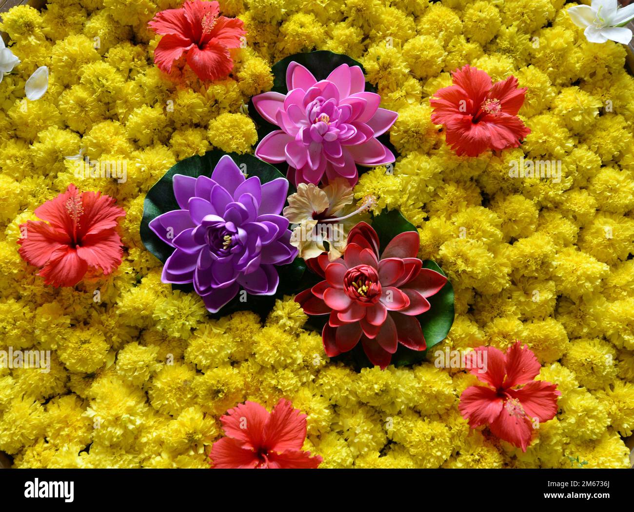 Blumen in einer Schüssel mit Wasser - traditionelle Dekoration für Heiterkeit in Südindien. Stockfoto